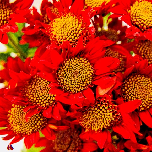 💚💙❤️💛🧡💚💙❤️💛🧡💚💙❤️💛🧡 - Picture 5 of 14